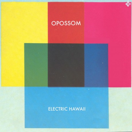 Opossom Electric Hawaii