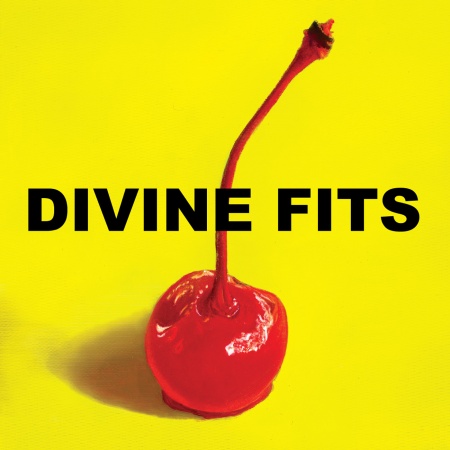 divine fits  - a thing called divine fits album review by heather welsh