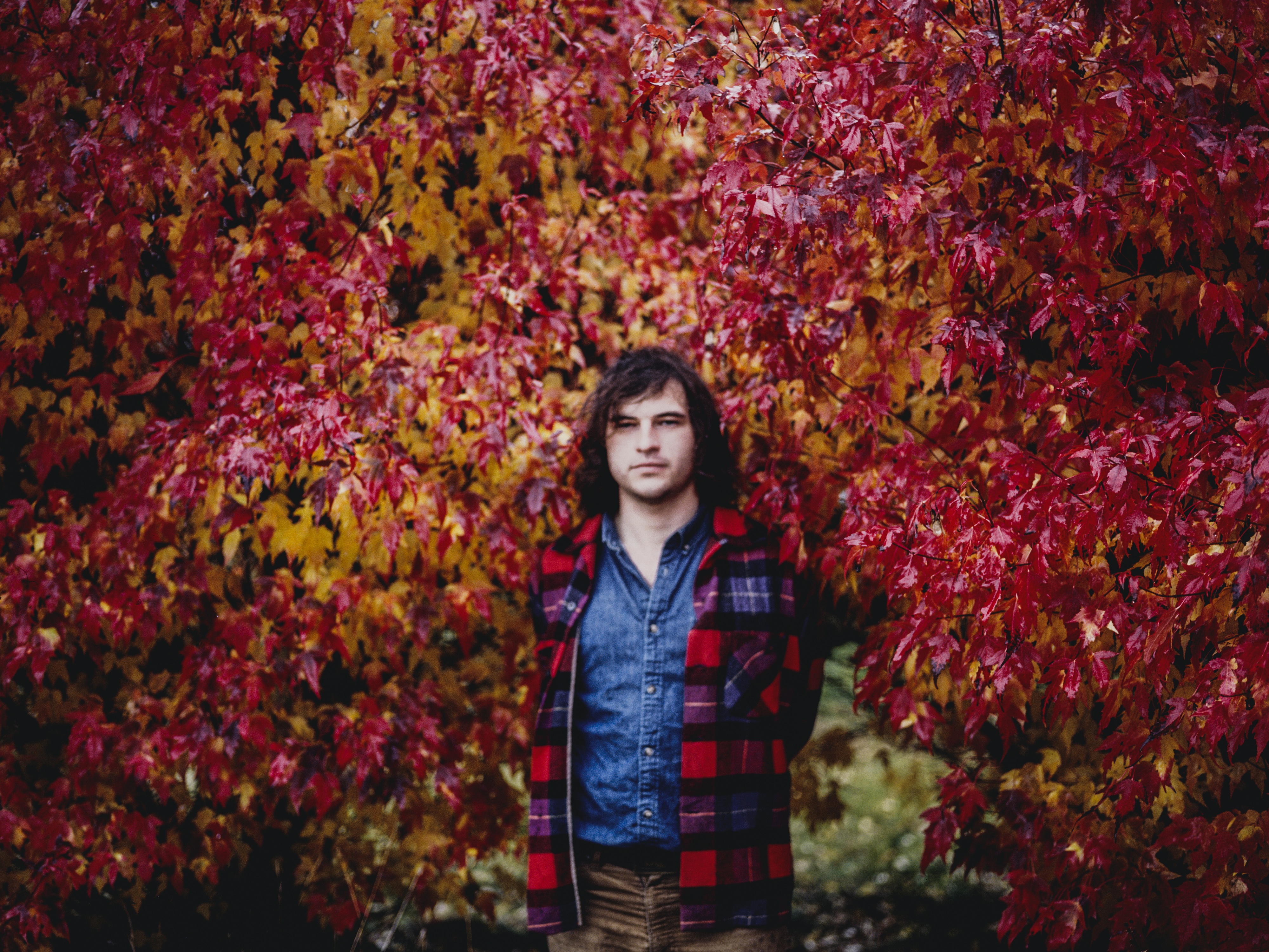 Ryley Walker Shares second single from "Sweet Satisfaction"