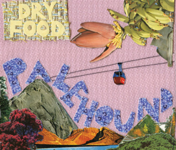 Review of the forthcoming release 'Dry Food' by Palehound