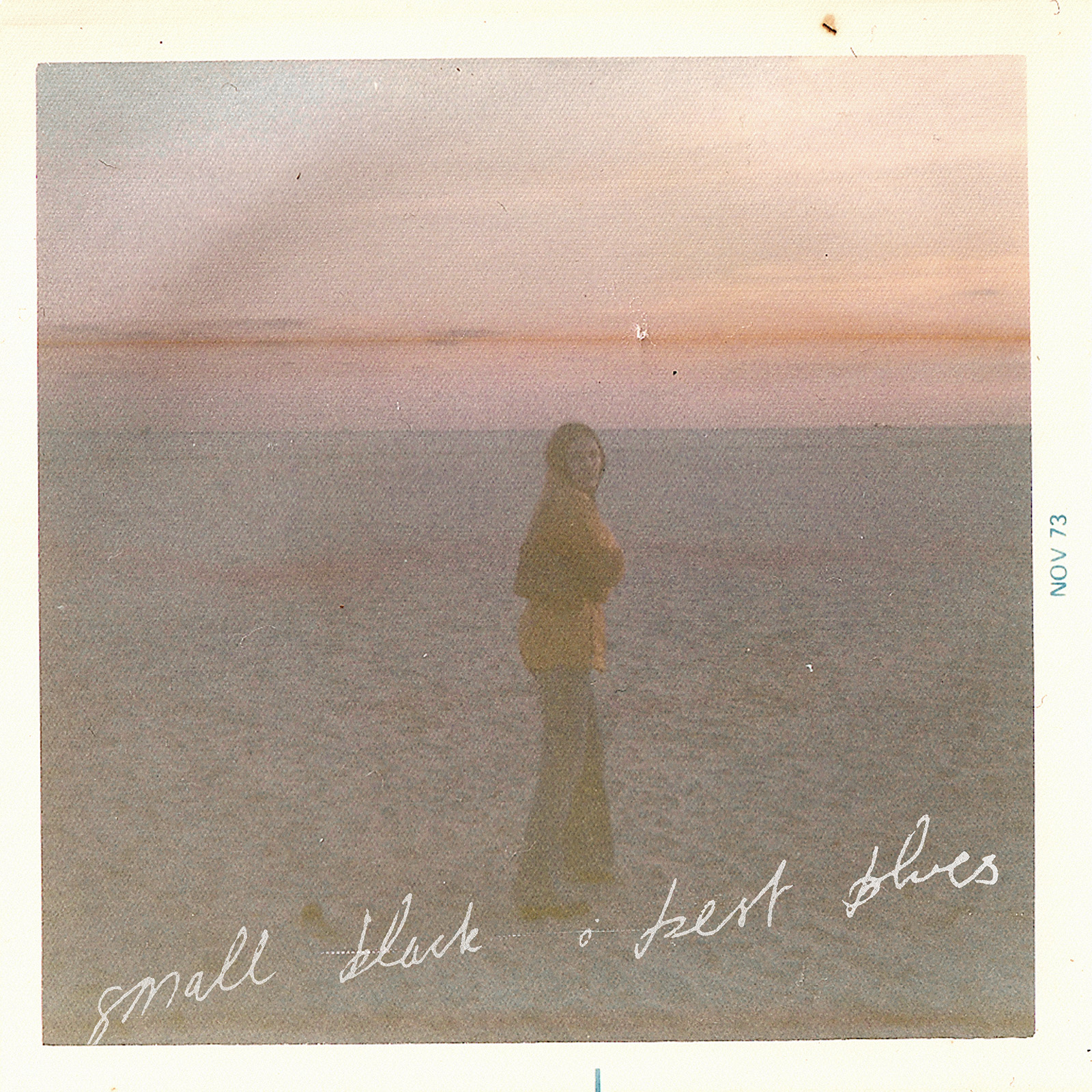 Review of 'Best Blues' the new full length from Small Black.