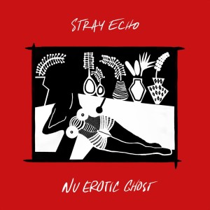 "Nu Erotic Ghost" by Stray Echo" is Northern Transmissions' 'Song of the Day.