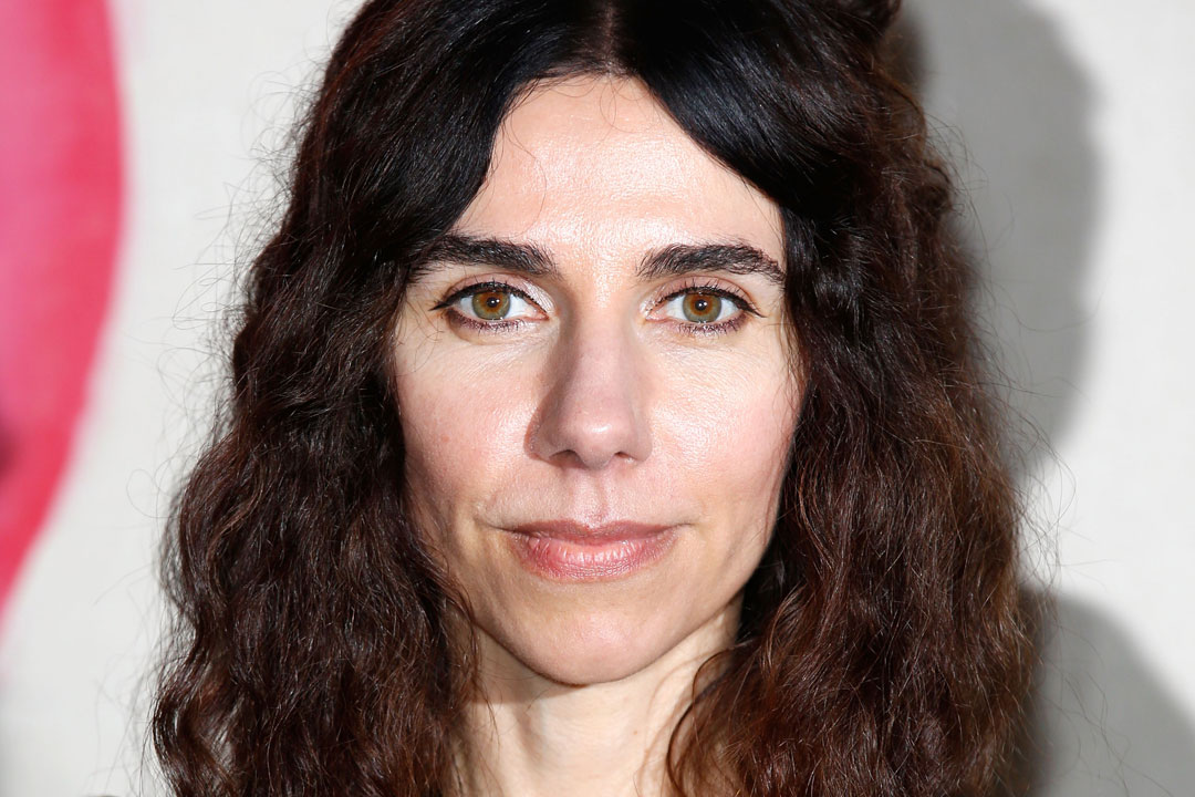 PJ Harvey has shared her new video for "The Wheel" .