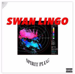 Lo-fi singer and multi-instrumentalist, Swan Lingo is streaming his debut EP, Spirit Plug.