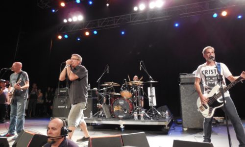 Descendents Share New Song "Without Love", the track is off their LP 'Hypercaffium Spazzinate'