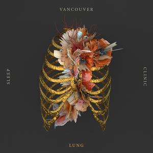 Vancouver Sleep Clinic, streams new single "Lung". The title-track comes off his debut album,