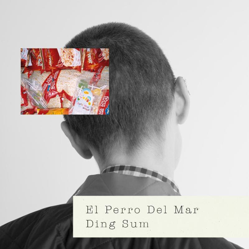 El Perro Del Mar debut new single "Ding Sum".