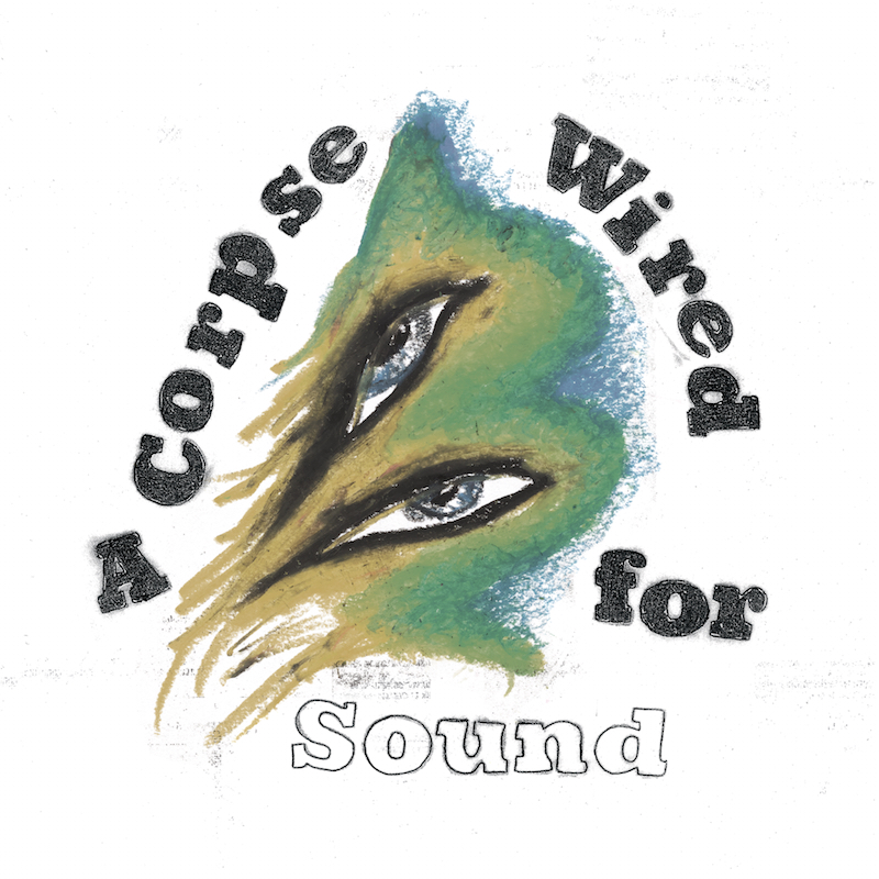'A Corpse Wired For Sound' by Merchandise, album review by Jake Fox