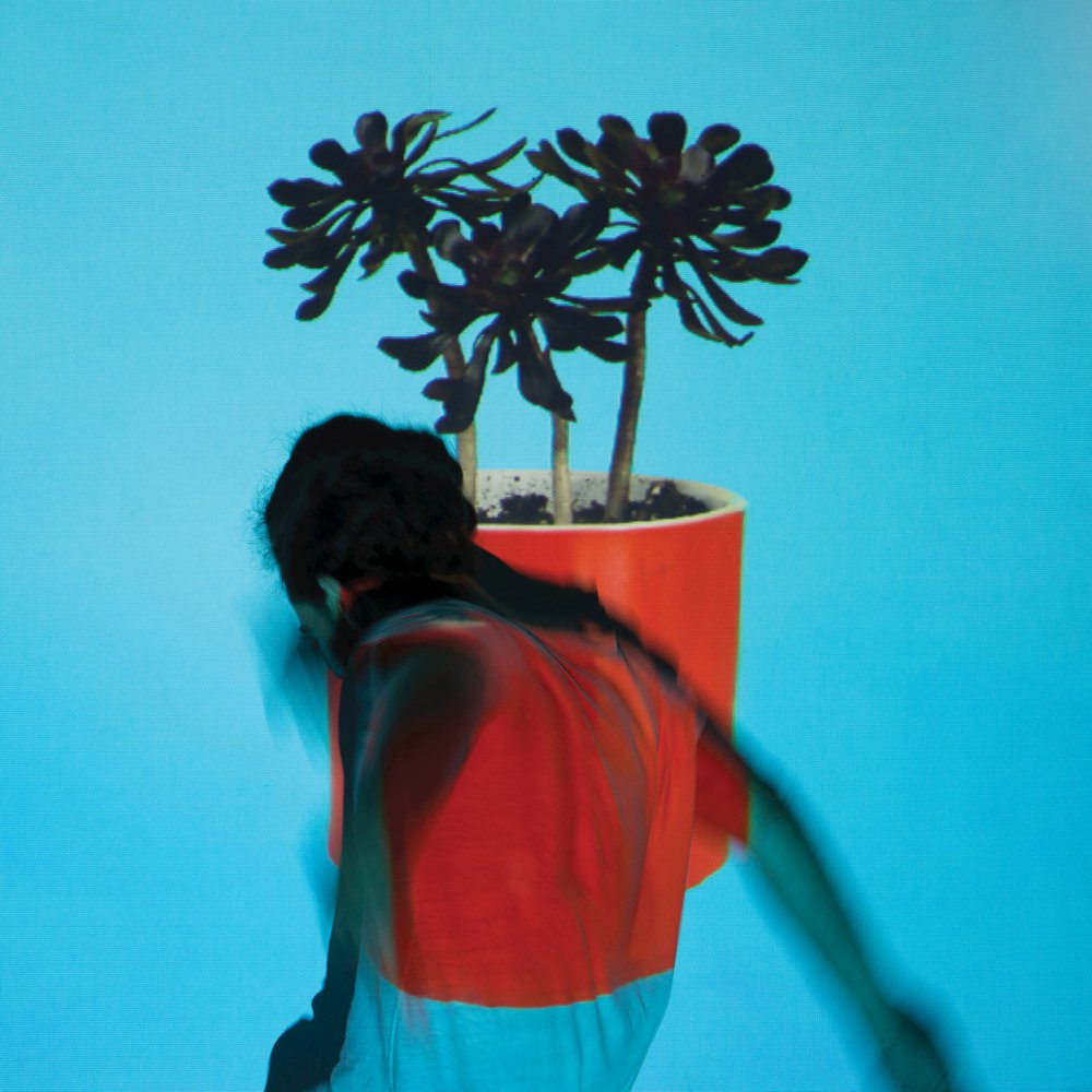 'Sunlit Youth' by Local Natives, review by Gregory Adams. The full-length comes out on September 9th on Loma Vista