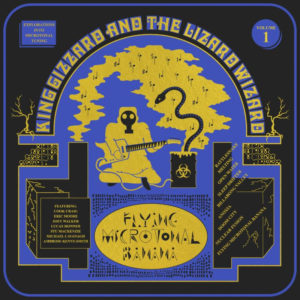 King Gizzard and the Lizard Wizard reveal new album 'Flying Microtonal Banana,'
