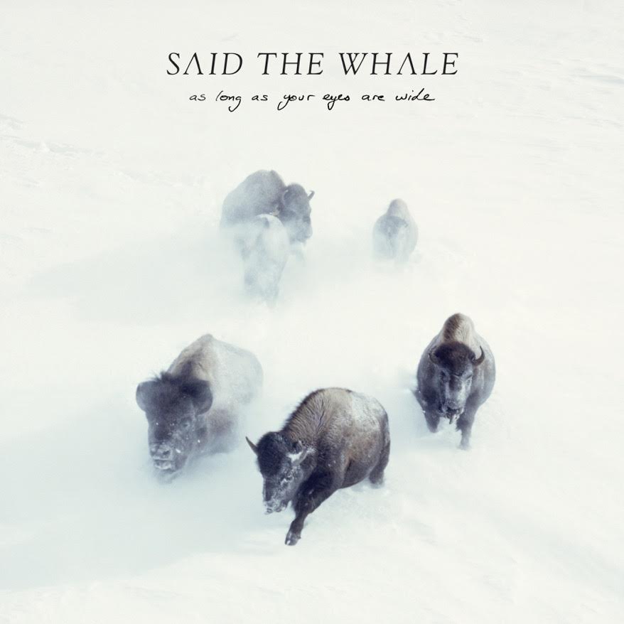 Said The Whale announce new album 'As Long As Your Eyes Are Wide,' out March 31 via Hidden Pony