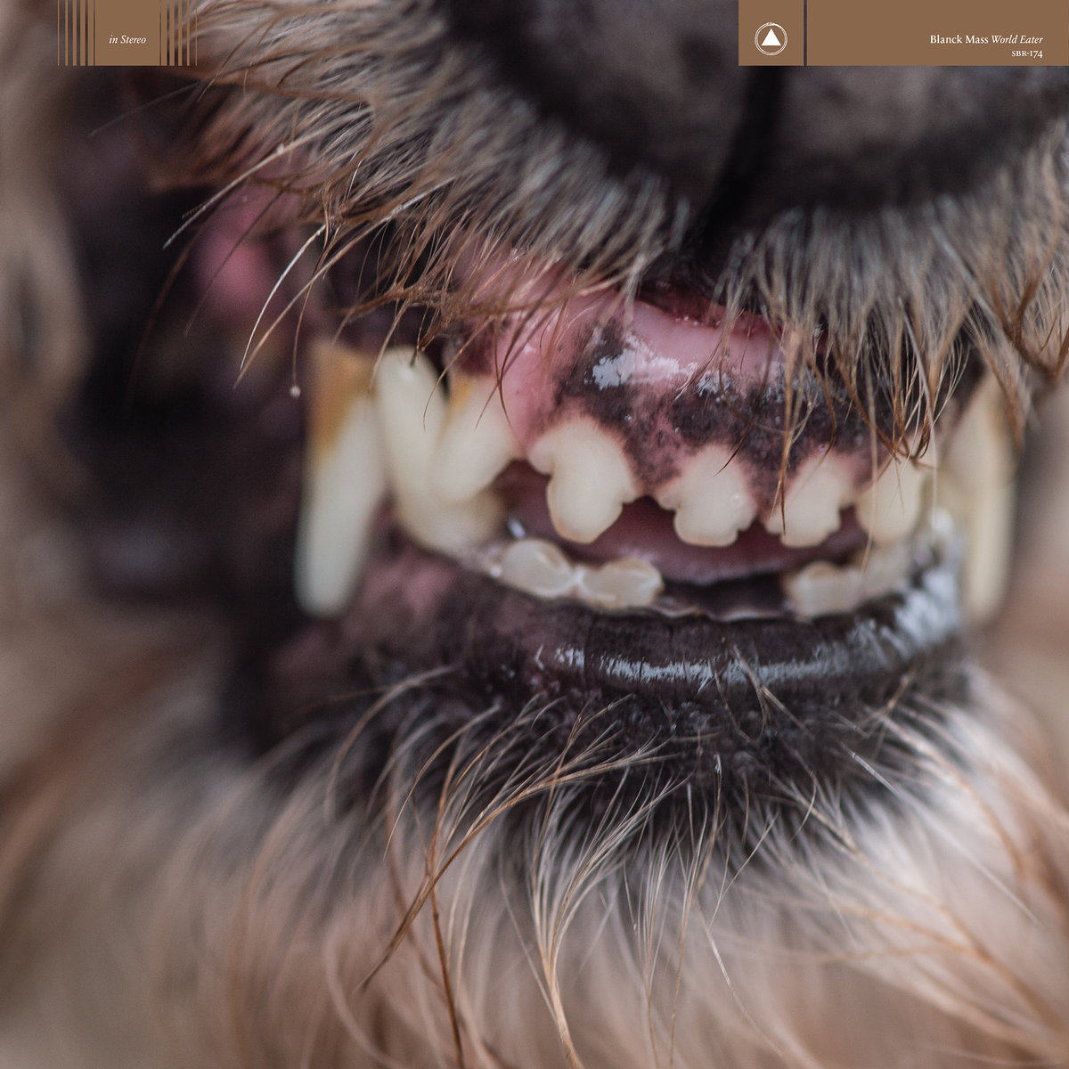 'World Eater' by Blanck Mass, album review by Josh Gabert-Doyon. The full-length comes out on March 3 via Sacred Bones.