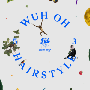 WuhOhHairstyle