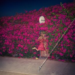 review of Feist's new LP 'Pleasure', now out