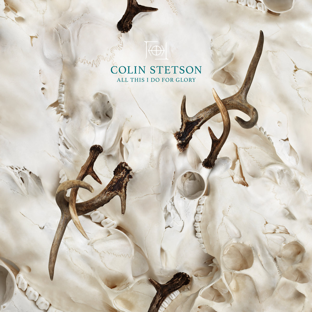 'All This I Do for Glory' by Colin Stetson, album review by Gregory Adams.