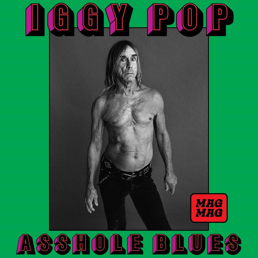 Iggy Pop shares new single "Asshole Blues"