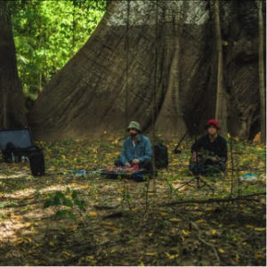 Animal Collective Announce "Meeting of the Waters" EP, out Record Store Day April 22nd.