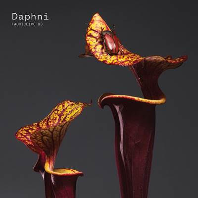 Daphni announces new album 'FABRICLIVE 93 Mix', shares first single "Face to Face".