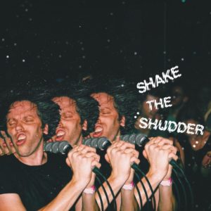 'Shake the Shudder' by !!! (Chk Chk Chk), album review by Stuart Wiseman