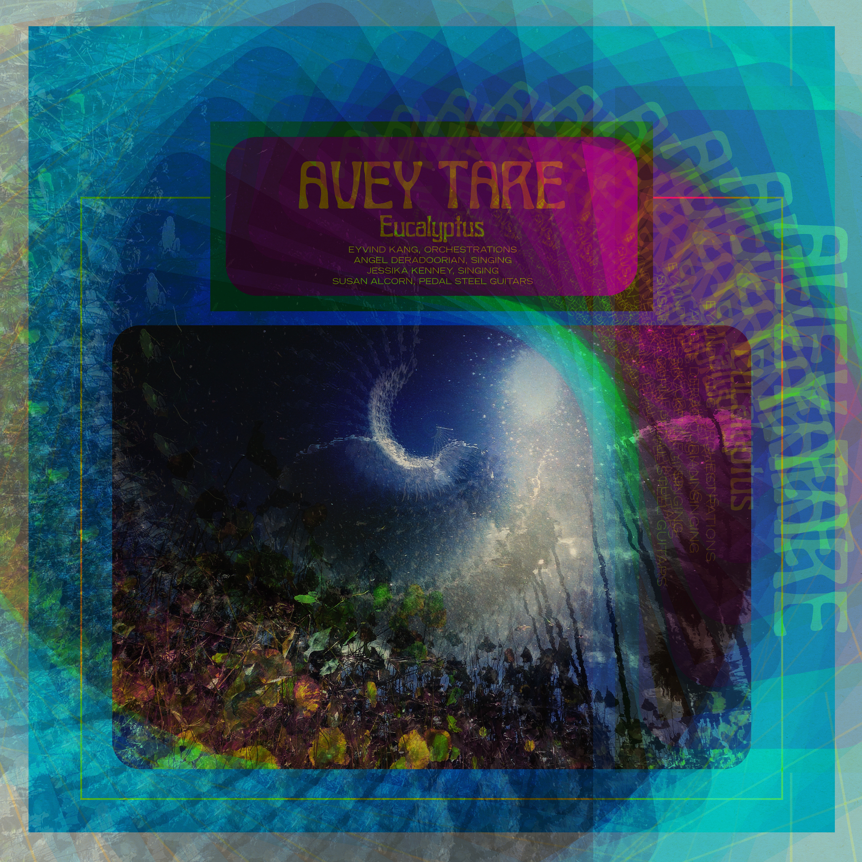 Our review of Avey Tare's 'Eucalyptus'