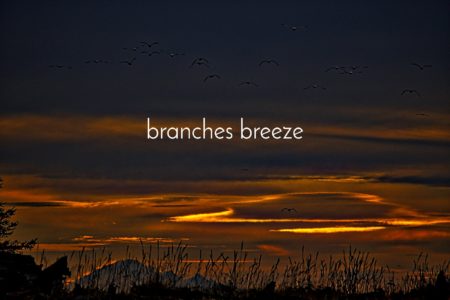 branches breeze debut "New Horizons"