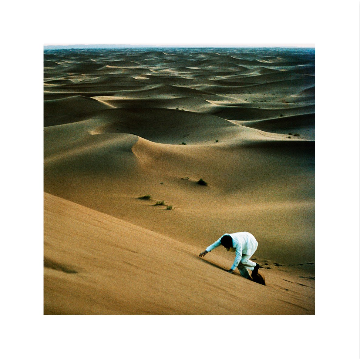 Album review 'Prince of Tears' by Baxter Dury