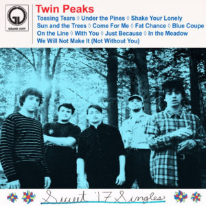 Twin Peaks release two new singles "In The Meadow" and "We Will Not Make It (Not Without You)"