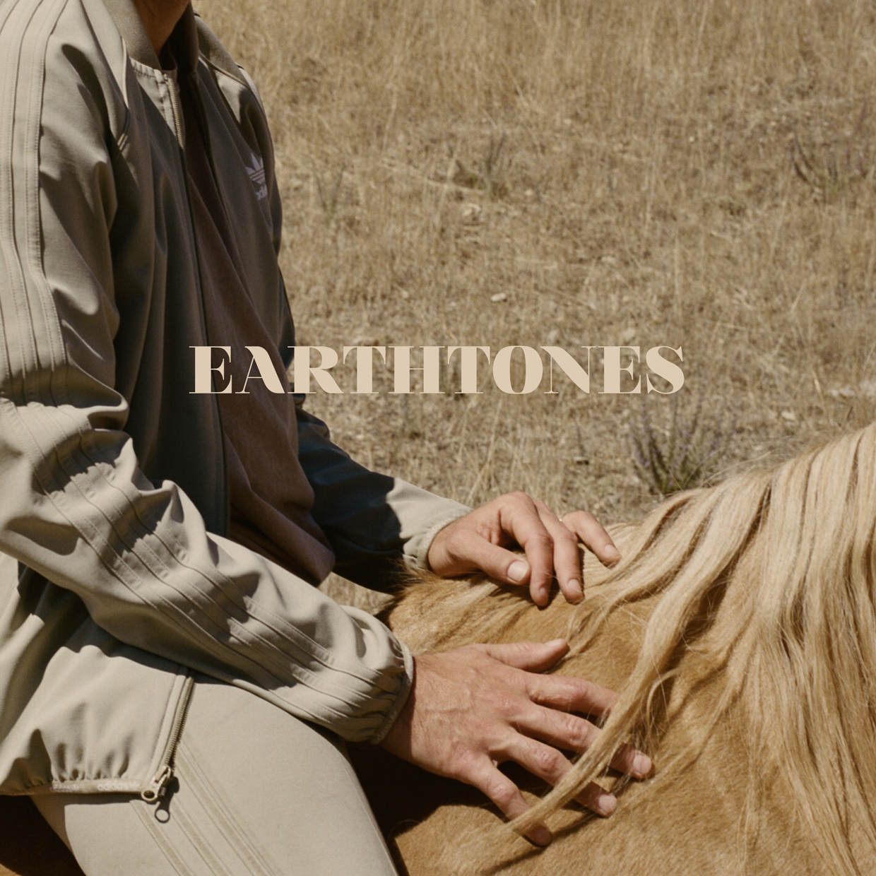 'Earthtones' by Bahamas album review