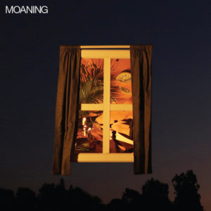 'Moaning' by Moaning album review for Northern Transmissions, by Adam Williams.