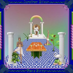 Northern Transmissions review of 'Rare Birds' by Jonathan Wilson