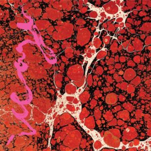 'Beyondless' by Iceage, album review by Northern Transmissions