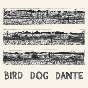 John Parish Bird Dog Dante Review For Northern Transmissions