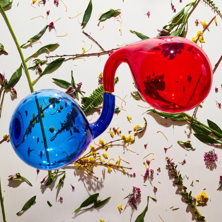 Dirty Projectors Lamp Lit Rose Review For Northern Transmissions