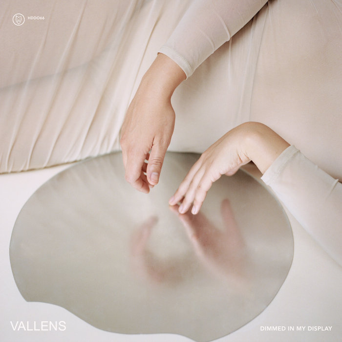 Vallens 'Dimmed In My Display' album review by Owen Maxwell for Northern Transmissions