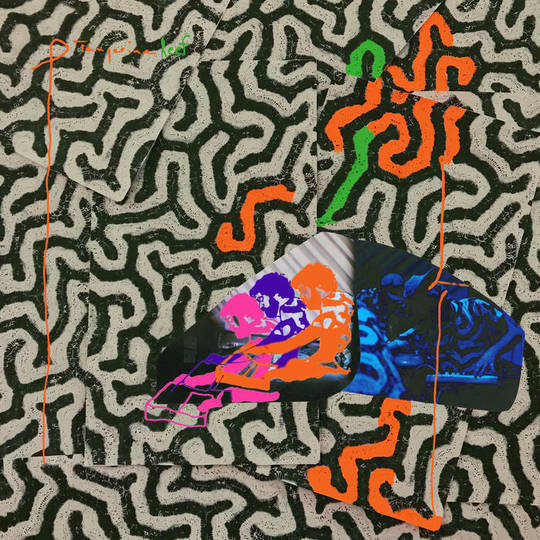 Animal Collective 'Tangerine Reef' album review for Northern Transmissions by Andy Resto