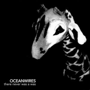 Northern Transmissions' 'Video of the Day' is "Beware of the Heartless," by Oceanwires the track is off the band's forthcoming LP 'There Never Was A Was'