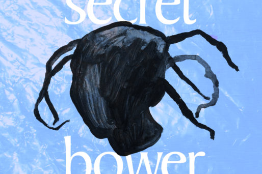 Nora Shikoswe Hougsnæs, aka Shikoswe, has released her new single "Secret Bowser"