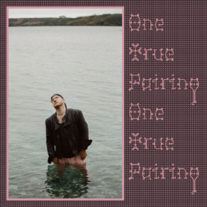 Tom Fleming, former Wild Beasts' member has announced his new new project, One True Pairing
