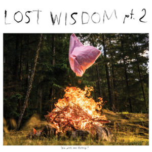'Lost Wisdom PT. 2' by Mount Eerie, featuring Julie Doiron, album review