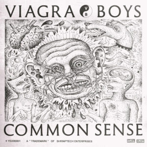 Common Sense by V**gra Boys album review by Leslie Chu for Northern Transmissions
