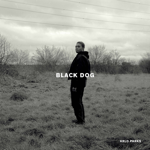 English Singer/songwriter, Arlo Parks has released a new video for "Black Dog." The singer/songwriter, describes the song as being about