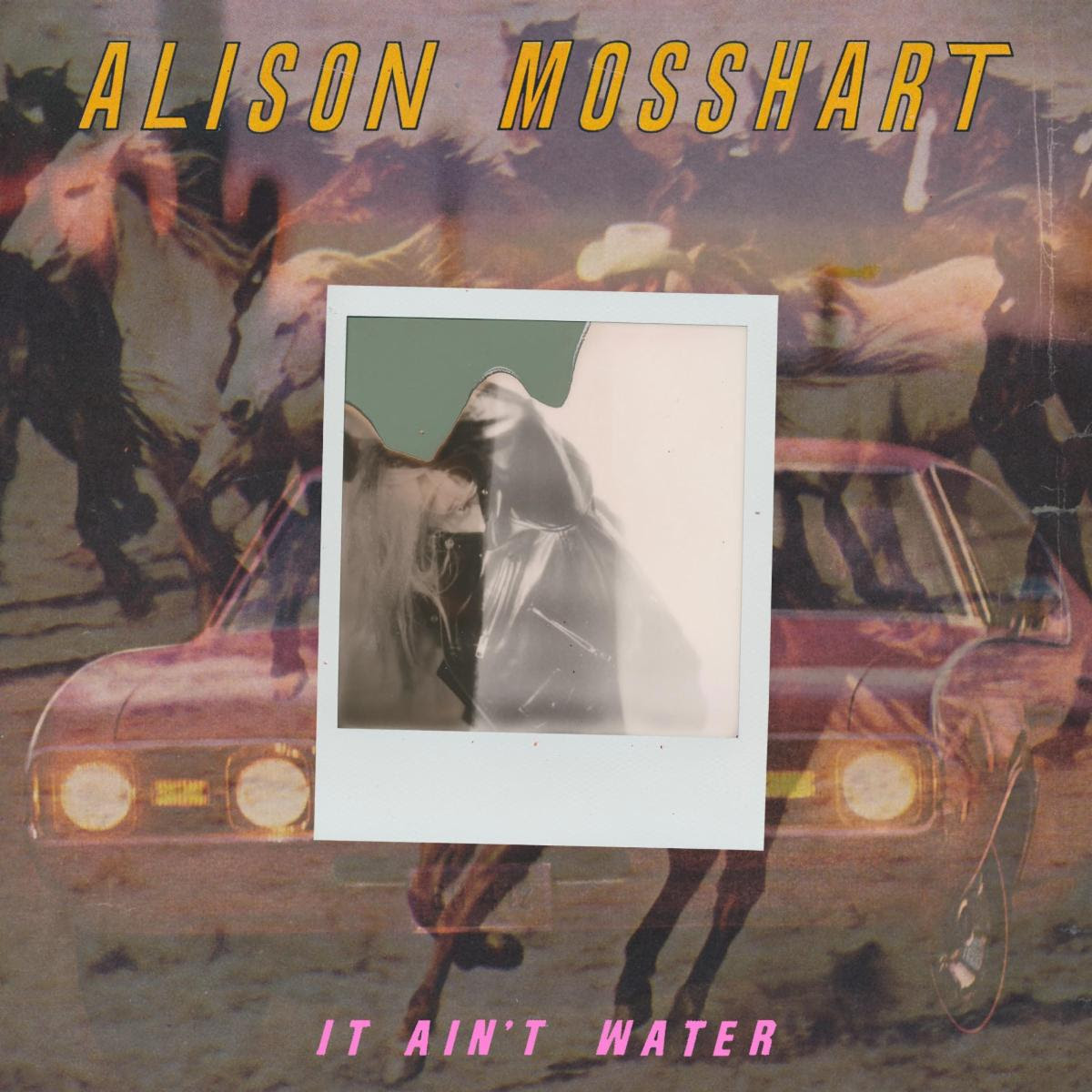Alison Mosshart (The Kills, The Dead Weather), has shared “It Ain’t Water,” off her forthcoming 7-inch release on Domino Records. The vinyl release pairs
