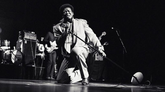 Northern Transmissions Song of the Day is "Let Love Stand A Chance" by Charles Bradley