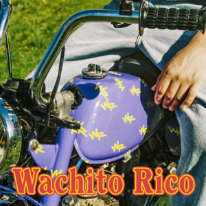 Boy Pablo shares "honey" music video, shares debut album artwork + track listing; 'Wachito Rico' out October 23rd, via 777 Music