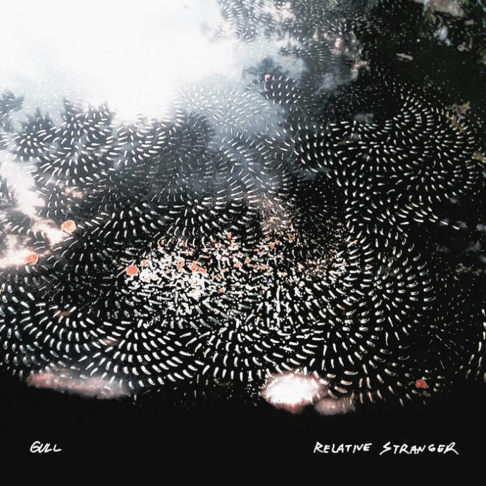 Gull streams forthcoming release Relative Stranger. The LP was recorded, mixed/produced mastered by Cyrus Fisher and drops 8/21 via Lagom Audio/Visual