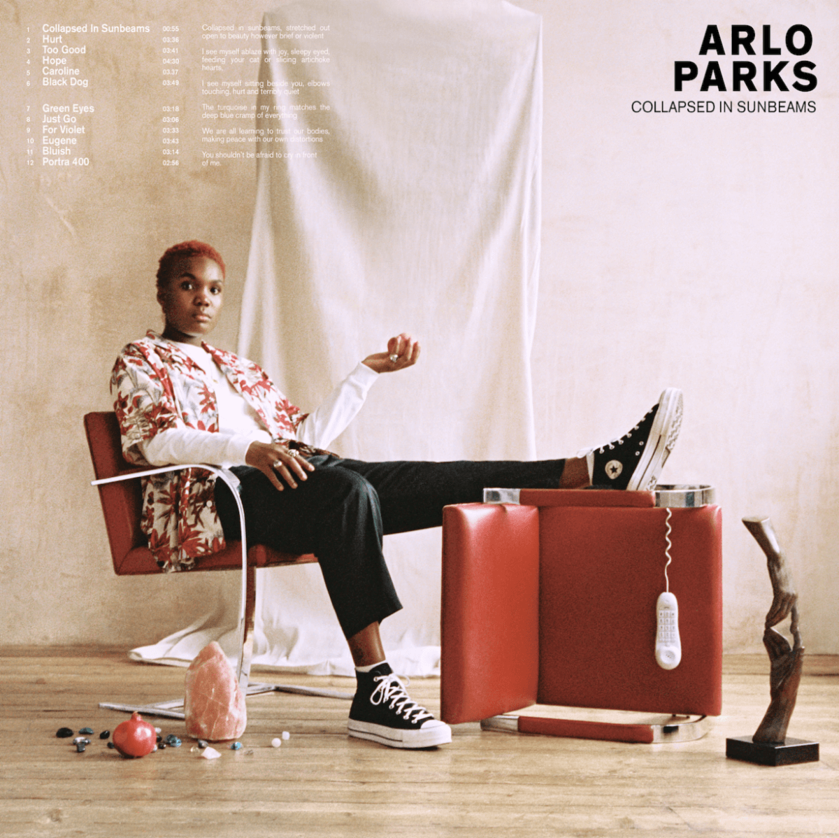 Collapsed In Sunbeams by Arlo Parks album review by Randy Randic for Northern Transmissions