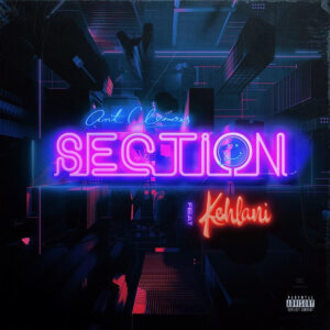 “Section” by Ant Clemons featuring Kehlani is Northern Transmissions Song of the Day. The track is off his current EP Happy 2 Be Here