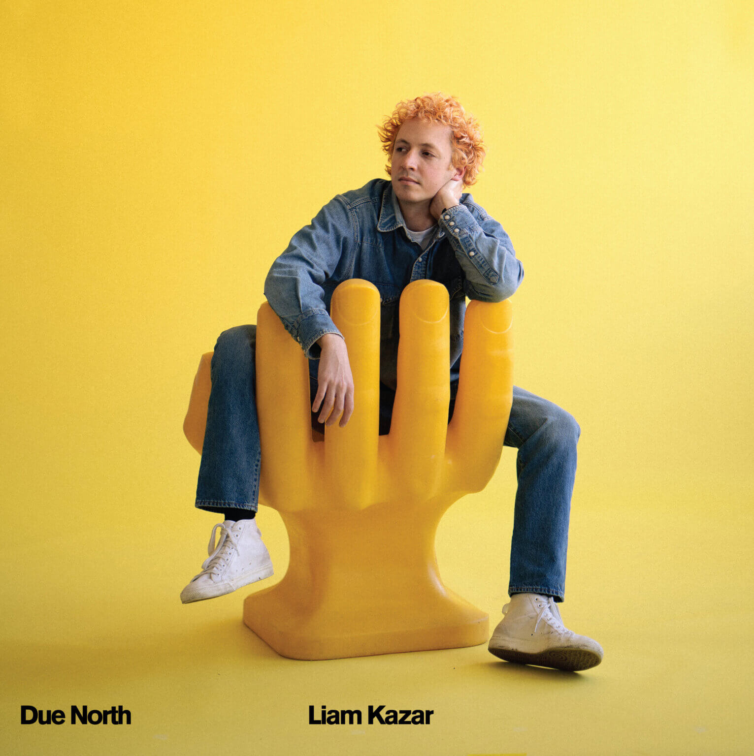 Chicago-raised musician, songwriter/chef Liam Kazar drops his his debut album, Due North on August 6, via Woodsist/Mare Records