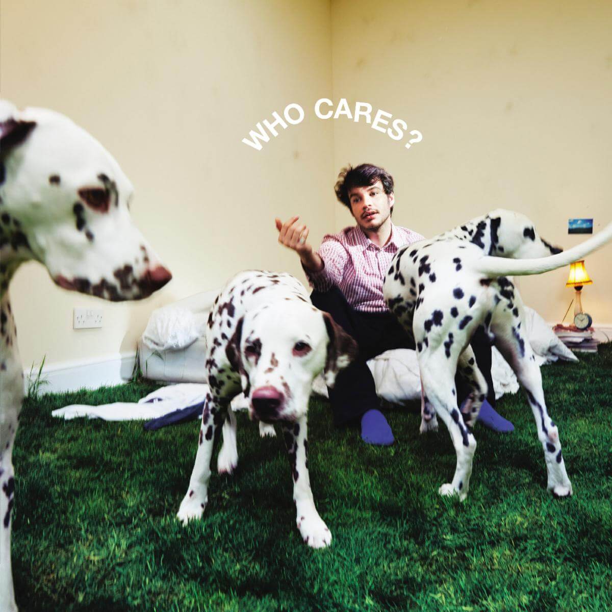 'Who Cares? by Rex Orange County Album Review by Greg Walker for Northern Transmissions