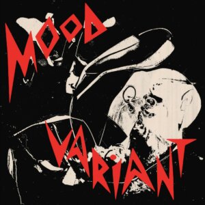 Hiatus Kaiyote have released remix album of Mood Variant. The album features the touches of Nick Hakim, Georgia Anne Muldrow, Teebs, and more
